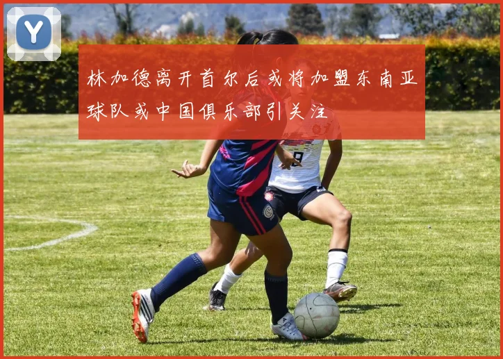 林加德离开首尔后或将加盟东南亚球队或中国俱乐部引关注