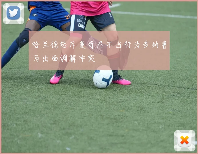 哈兰德怒斥曼奇尼不当行为多纳鲁马出面调解冲突