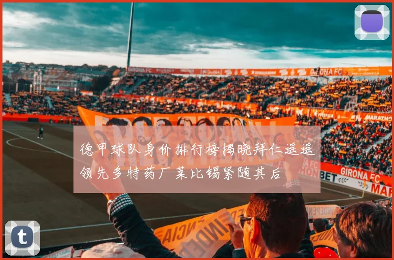 德甲球队身价排行榜揭晓拜仁遥遥领先多特药厂莱比锡紧随其后