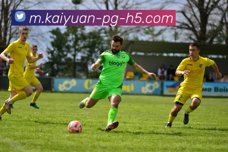 开元体育平台生态图